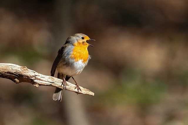 建设工程勘察合同