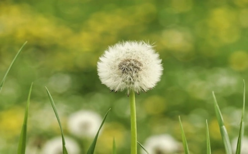 2012年最新儿童节短信-春林公文网