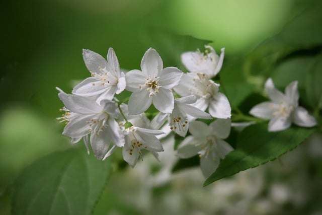 2022年全国老年健康周活动总结5篇