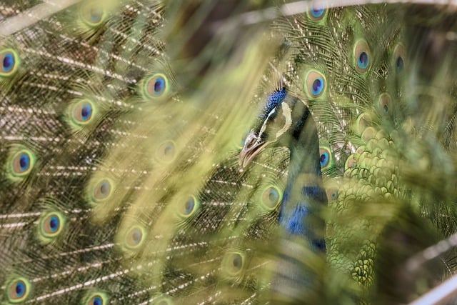 市场调查报告模板集合6篇