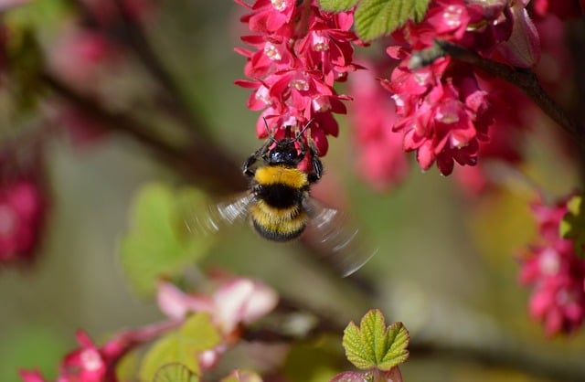 （政府办公室）半年工作总结会上的讲话