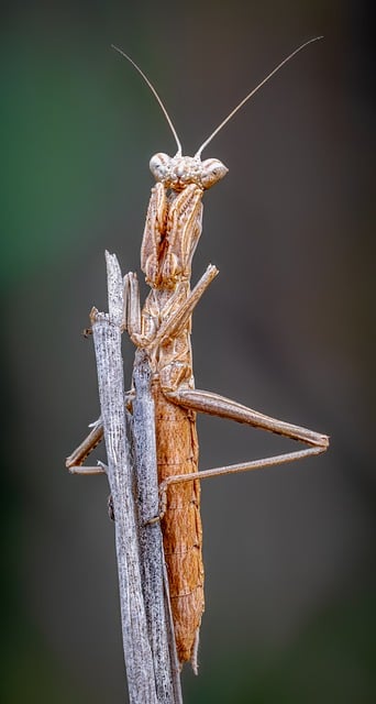 银行职位竞聘报告精选