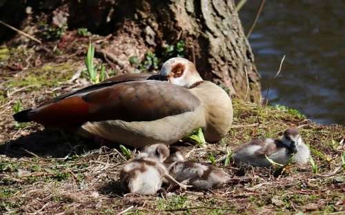 五一劳动节标语-春林公文网