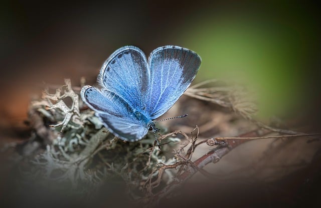 群众性爱国主义教育活动总结