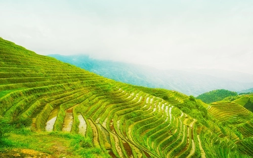 广西差旅费报销标准-春林公文网