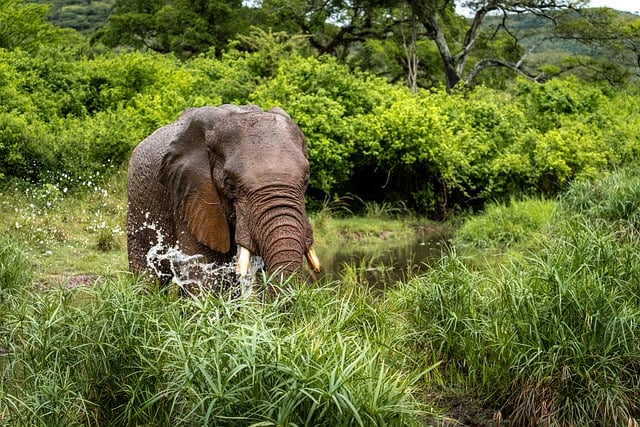 WEB服务器多框架解决方案