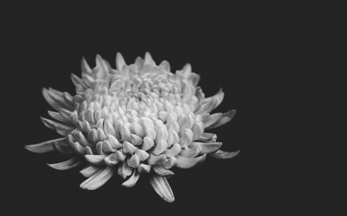 少先队大队工作计划-春林公文网