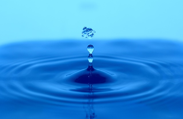 温馨的祝福问候短信