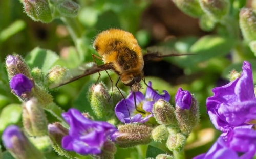 高中优秀毕业生入党志愿书范文-春林公文网