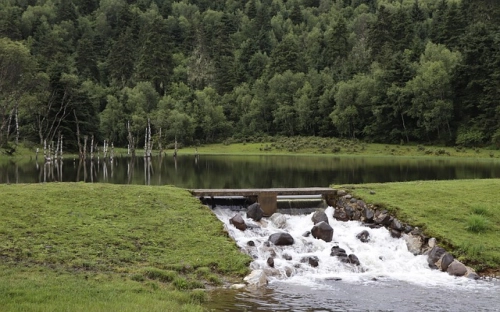 市普通高等学校语言文字评估方案-春林公文网