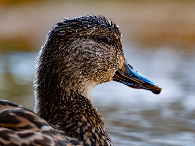 疫情防控的口号标语