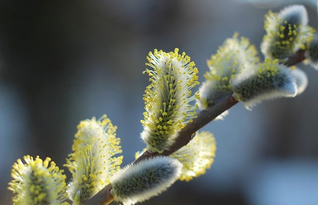 关于教师节晚会主持词（精选5篇）