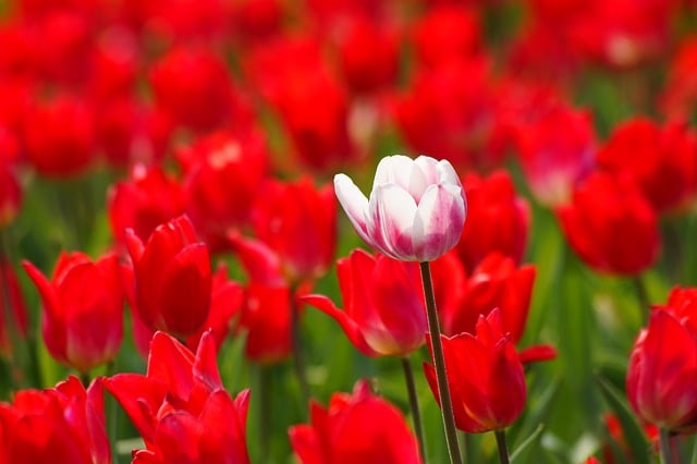 关于日常问候祝福语