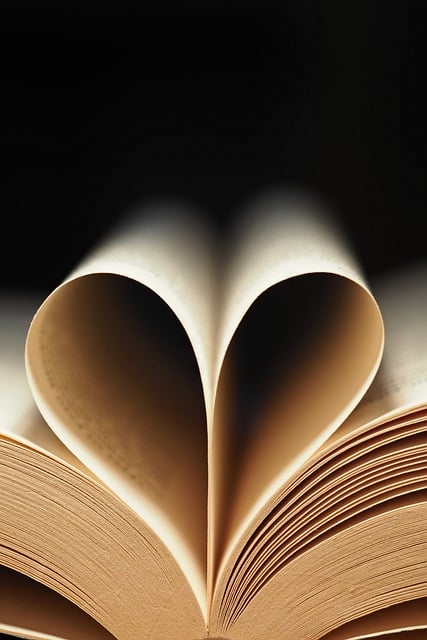 如何写入党申请书