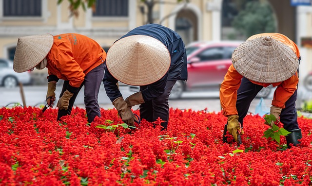 五一劳动节学生国旗下讲话稿