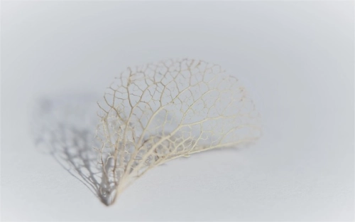 十八届三中全会释放正能量范文-春林公文网