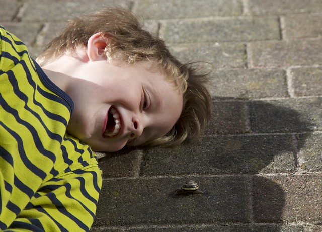 税务局2003年述职报告