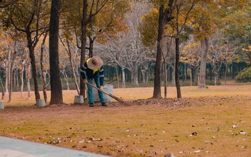 环卫年终工作总结合集7篇-春林公文网