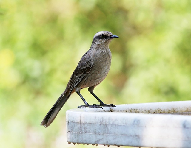 跳槽后五险一金怎么办