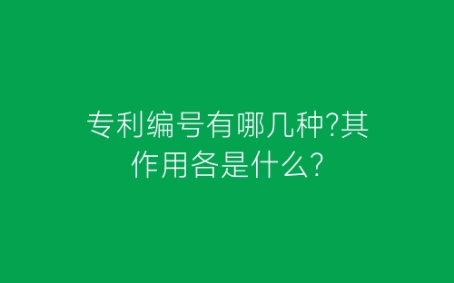 专利编号有哪几种?其作用各是什么?-春林公文网
