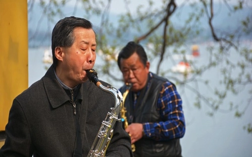 清明节送什么花-春林公文网