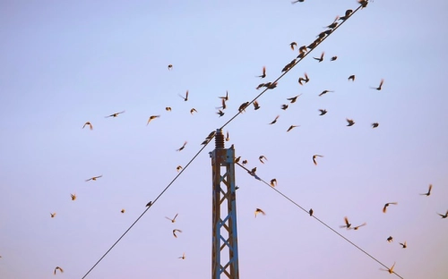 关于职工休息室管理规定2021-春林公文网