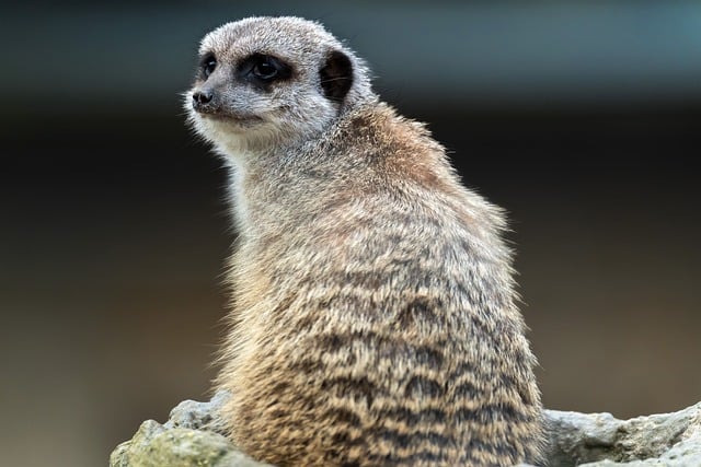 公务员试用期工作心得范文,个人总结