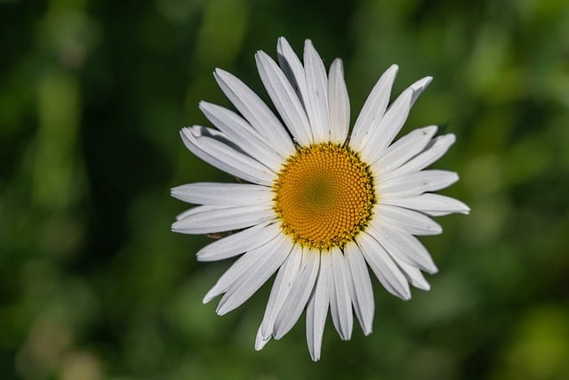 幼儿园2016下半年德育工作计划范文参考