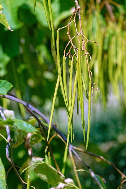 机关晚会主持串词