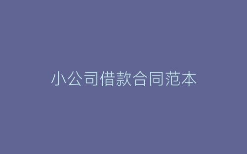 小公司借款合同范本-春林公文网