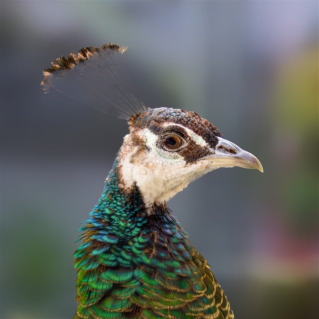 员工个人年度工作总结模板集合7篇