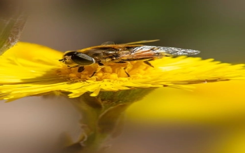 计算机专业大学生实习报告-春林公文网