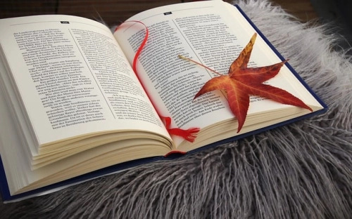 2022年教师新学期工作计划5篇-春林公文网