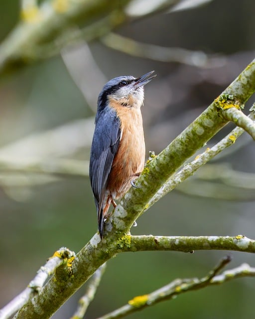 2021最新元宵节活动策划方案范文