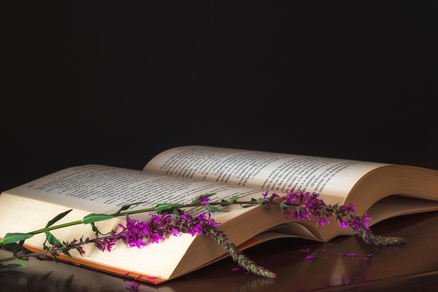 最新学校校园读物排查自查报告范文