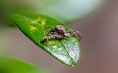 煤矿党委先进性教育分析评议阶段工作总结-春林公文网