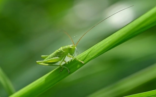消防部队半年工作总结-春林公文网