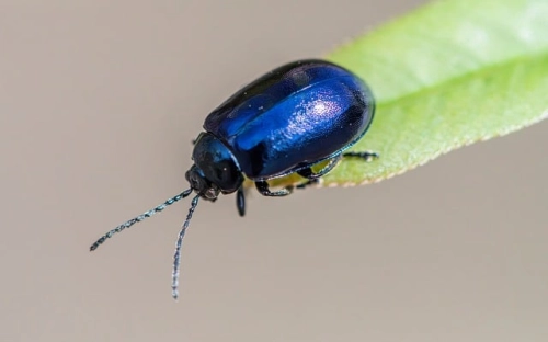 行政单位预算业务管理制度范文-春林公文网