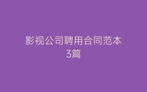 影视公司聘用合同范本3篇-春林公文网