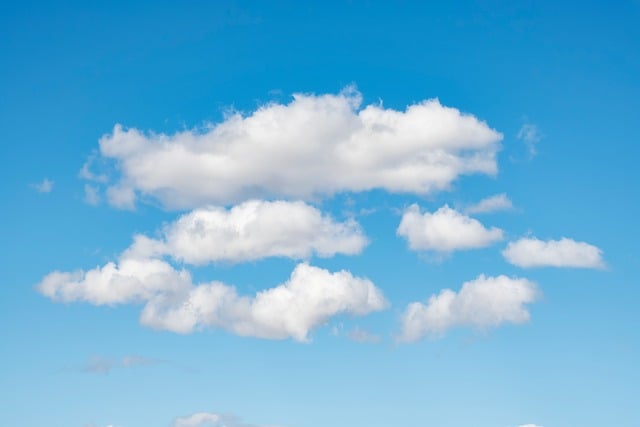 全省环境保护系统紧急应对松花江重大水污染事件工作总结