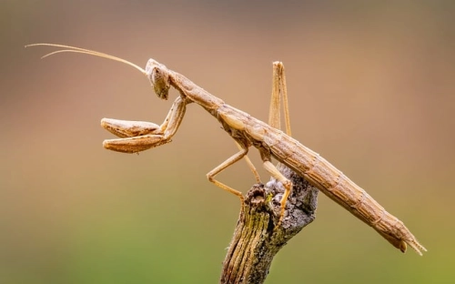 开题报告文本格式-春林公文网