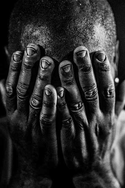 2012年度财务处工作总结