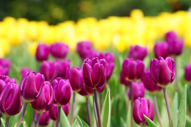 2020年精选中秋问候QQ祝福语46句