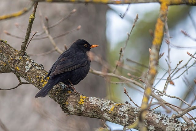 最新人事面试提问技巧全攻略