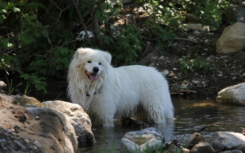 县地税局领导班子整改措施-春林公文网
