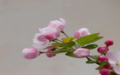 2021中国居民膳食指南报告 中国居民膳食指南报告心得体会-春林公文网