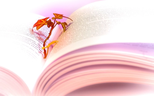 论文开题报告格式-春林公文网