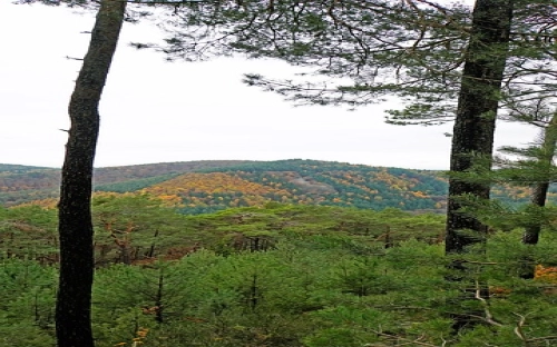 普法依法治市如何找准薄弱点-春林公文网