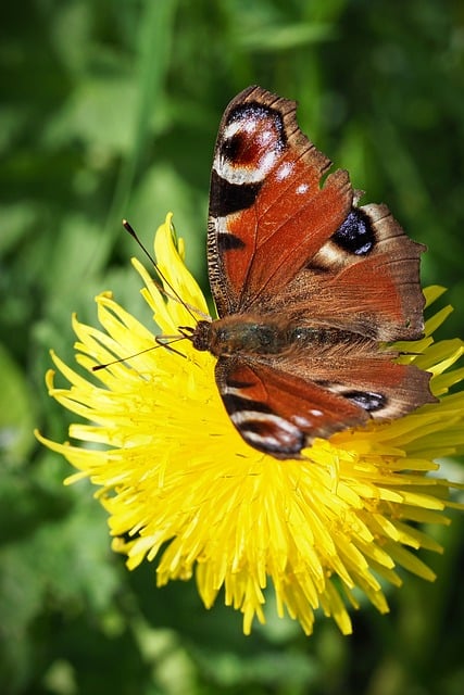 2020年精选元旦跨年祝福语微信汇编60条