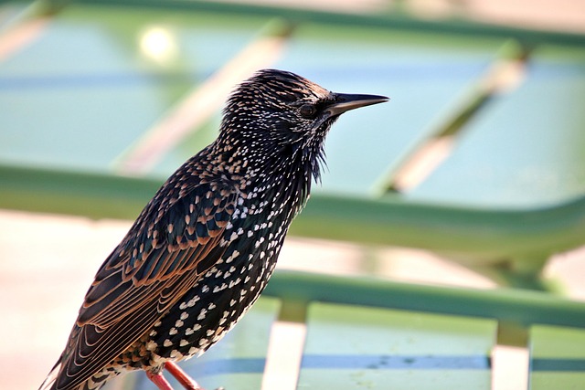 让简历脱颖而出的办法